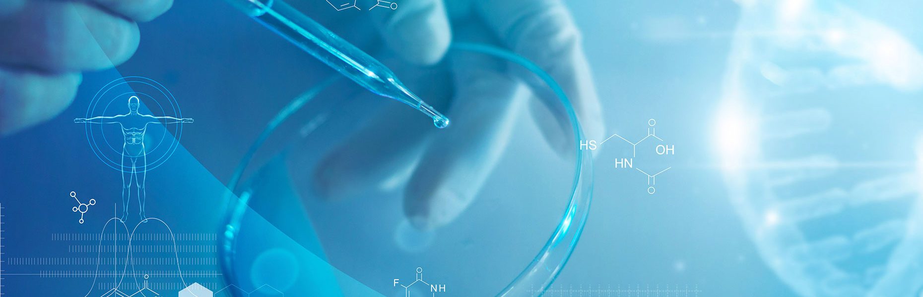 生命科学 分析 DNA 结构